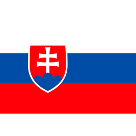 EK 2024 Slowakije Voetbalshirts